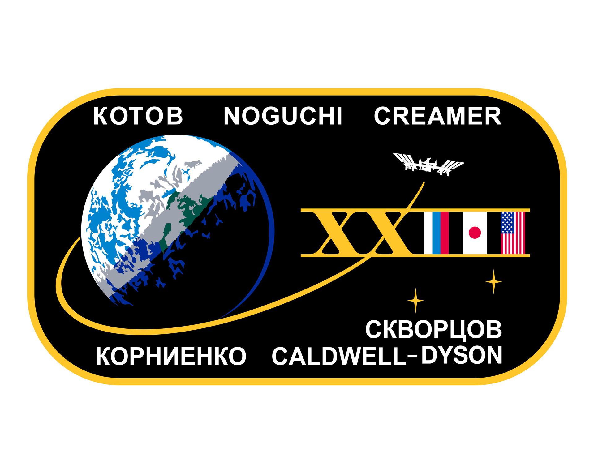 Expedition 23 Crew Insignia