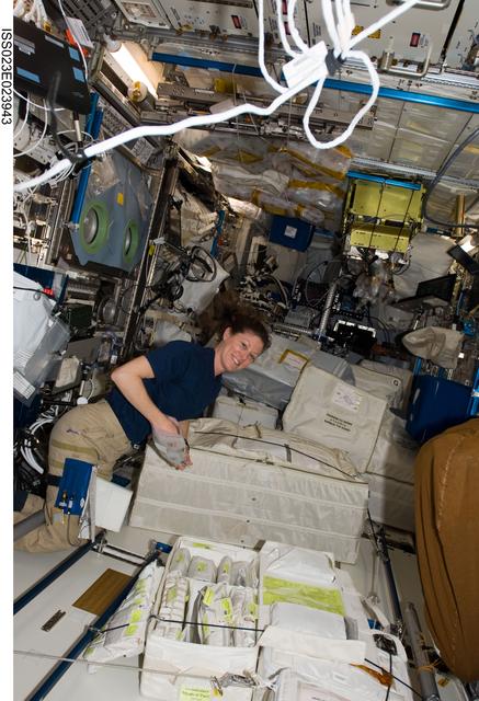 NASA image: Dyson in Columbus