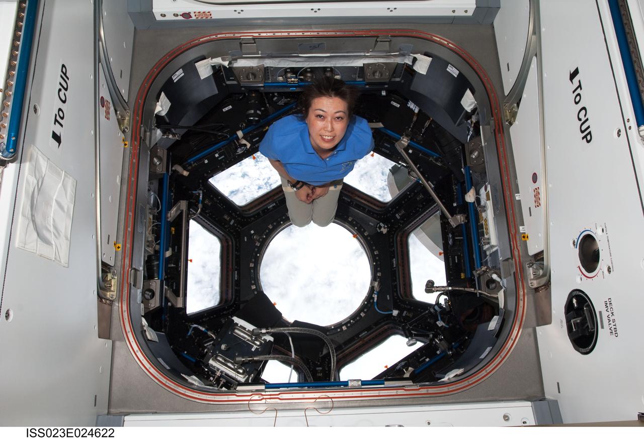 ISS023-E-024622 (17 April 2010) --- Japan Aerospace Exploration Agency astronaut Naoko Yamazaki, STS-131 mission specialist, poses for a photo in the Cupola of the International Space Station while space shuttle Discovery remains docked with the station.