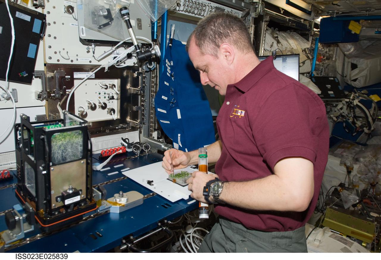 ISS023-E-025839 (21 April 2010) --- NASA astronaut T.J. Creamer, Expedition 23 flight engineer, services the Advanced Plant Experiments on Orbit-Cambium (APEX-Cambium) experiment in the Columbus laboratory of the International Space Station.