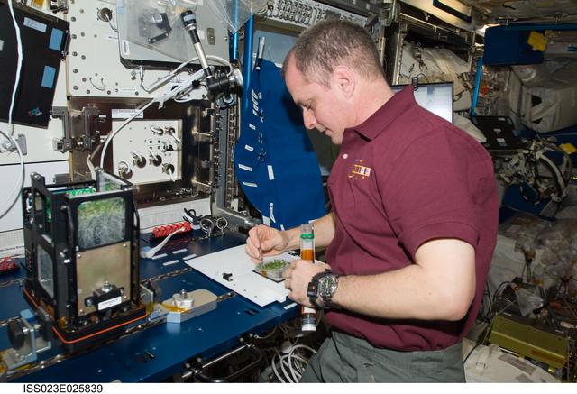 NASA image: Creamer works with APEX-TAGES Experiment in Columbus