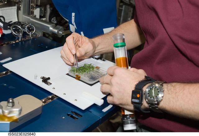 NASA image: Creamer works with APEX-TAGES Experiment in Columbus