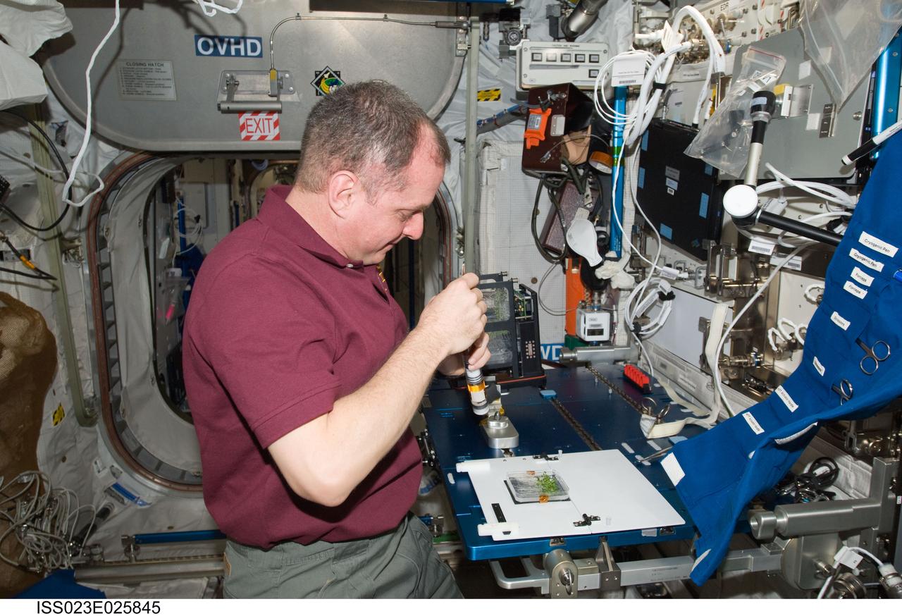 ISS023-E-025845 (21 April 2010) --- NASA astronaut T.J. Creamer, Expedition 23 flight engineer, services the Advanced Plant Experiments on Orbit-Cambium (APEX-Cambium) experiment in the Columbus laboratory of the International Space Station.