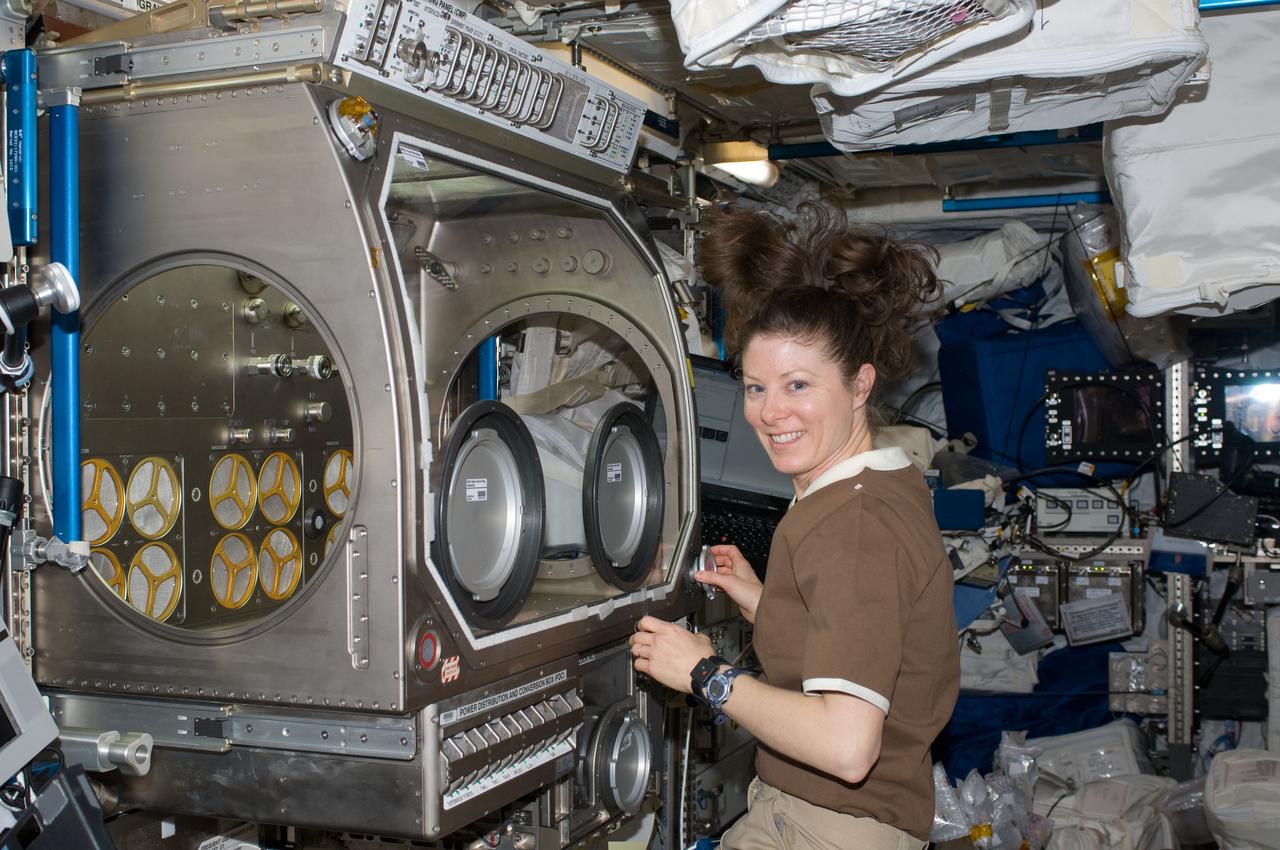 ISS023-E-030740 (3 May 2010) --- NASA astronaut Tracy Caldwell Dyson, Expedition 23 flight engineer, works with experiment hardware in the Microgravity Science Glovebox (MSG) located in the Columbus laboratory of the International Space Station.