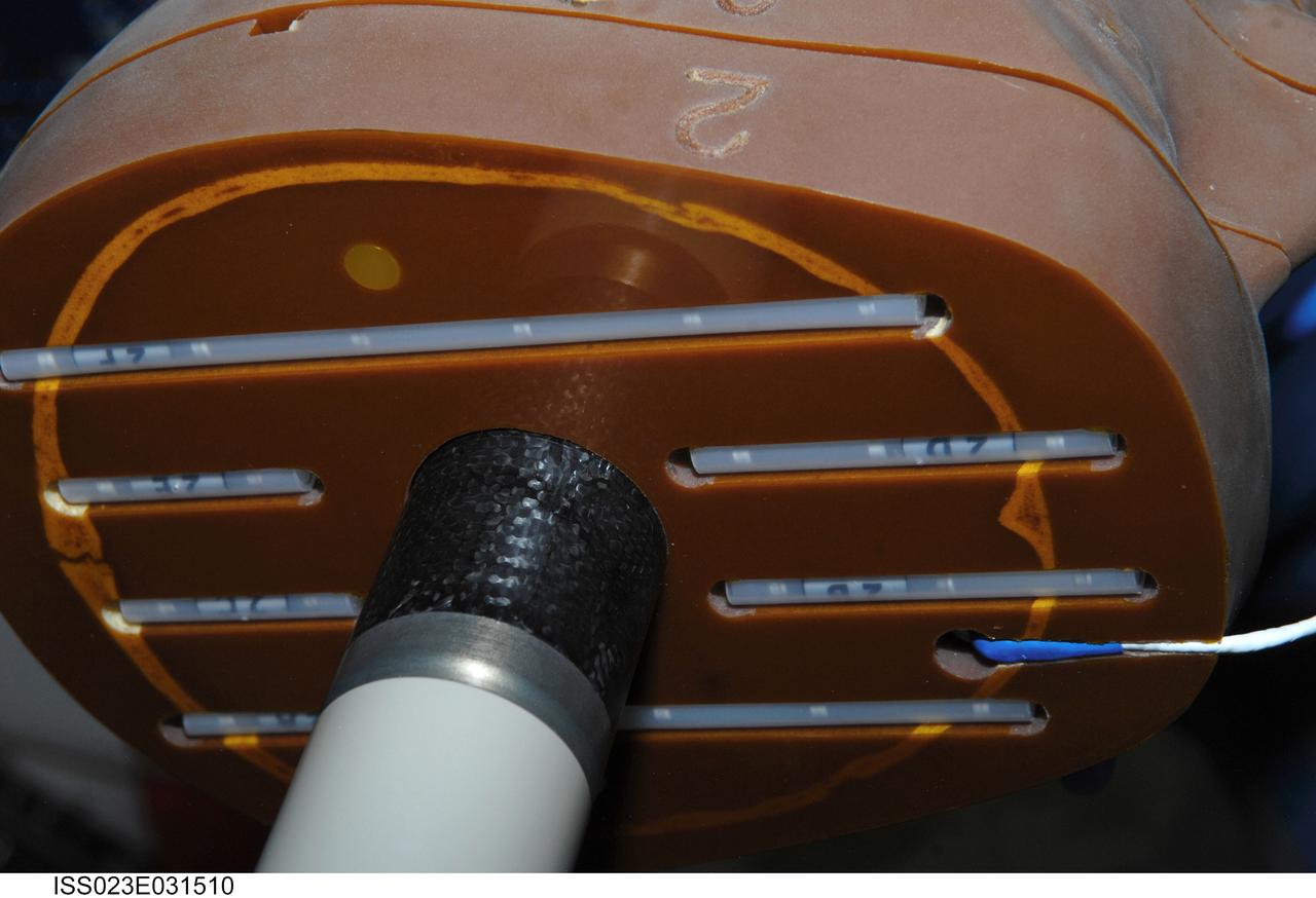 iss023e031510 (542010) --- A view of the detectors installed in the anthropomorphic Phantom for the Matroshka-2 Kibo experiment.