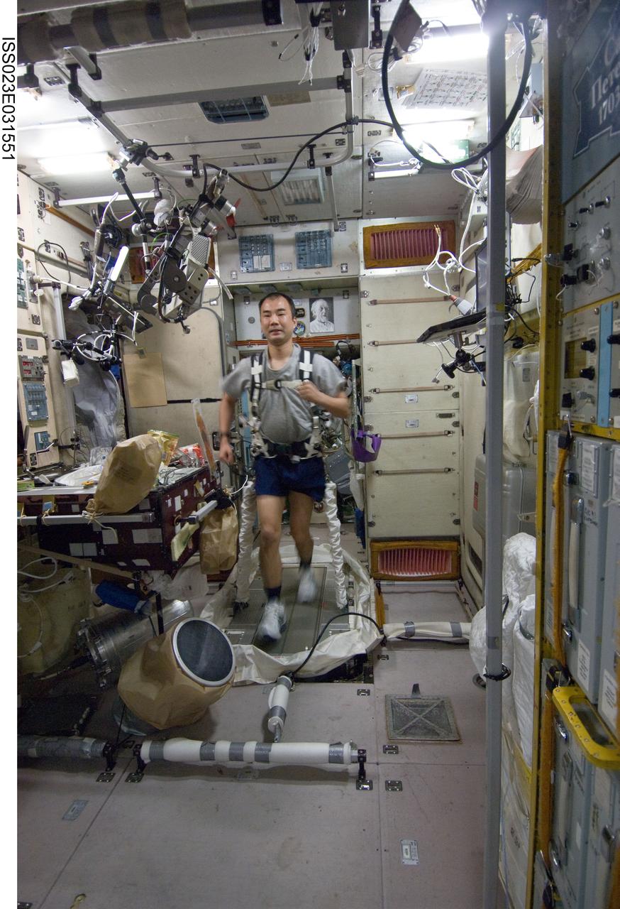 ISS023-E-031551 (4 May 2010) --- Japan Aerospace Exploration Agency (JAXA) astronaut Soichi Noguchi, Expedition 23 flight engineer, equipped with a bungee harness, exercises on the Treadmill Vibration Isolation System (TVIS) in the Zvezda Service Module of the International Space Station.