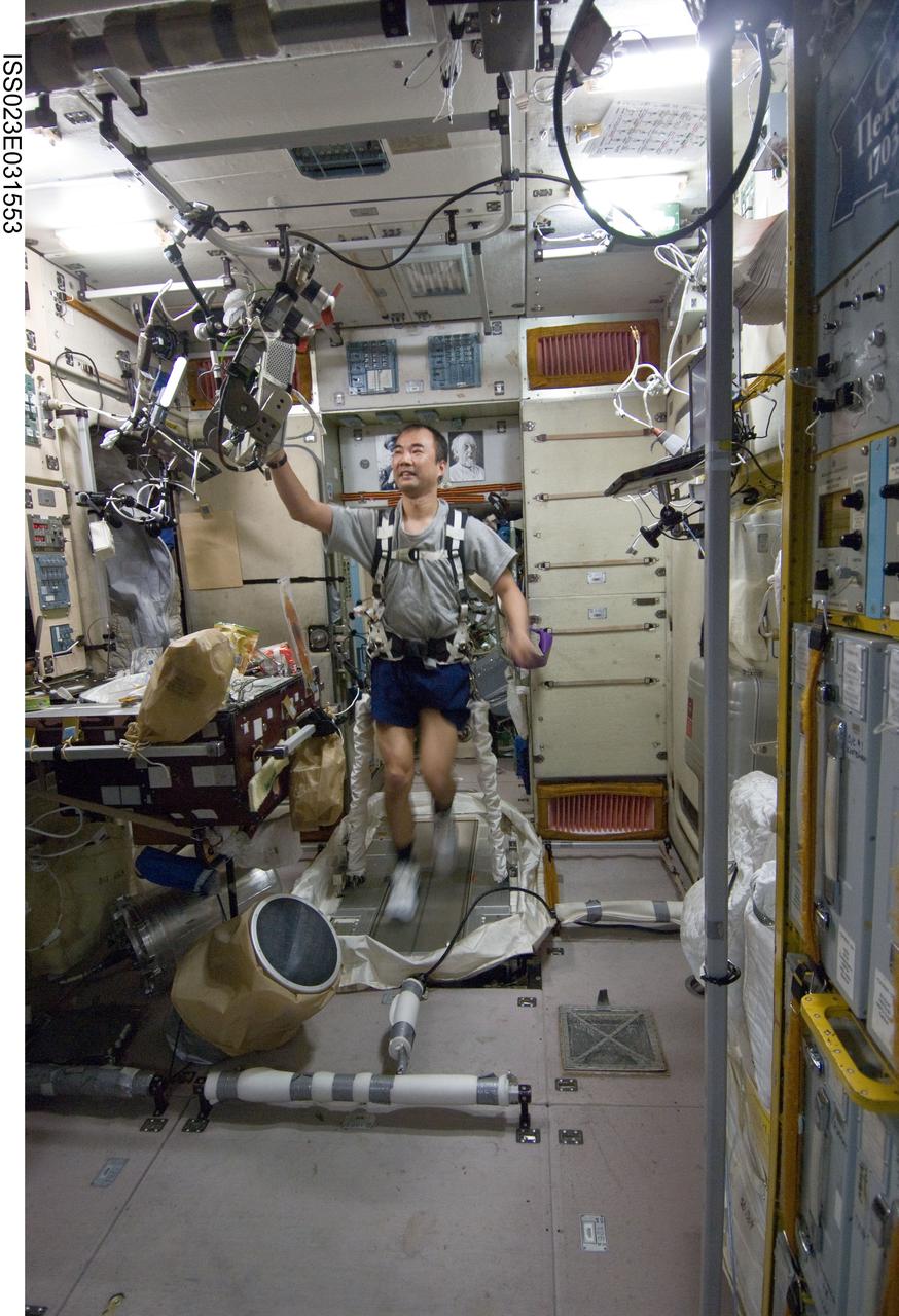 ISS023-E-031553 (4 May 2010) --- Japan Aerospace Exploration Agency (JAXA) astronaut Soichi Noguchi, Expedition 23 flight engineer, equipped with a bungee harness, exercises on the Treadmill Vibration Isolation System (TVIS) in the Zvezda Service Module of the International Space Station.