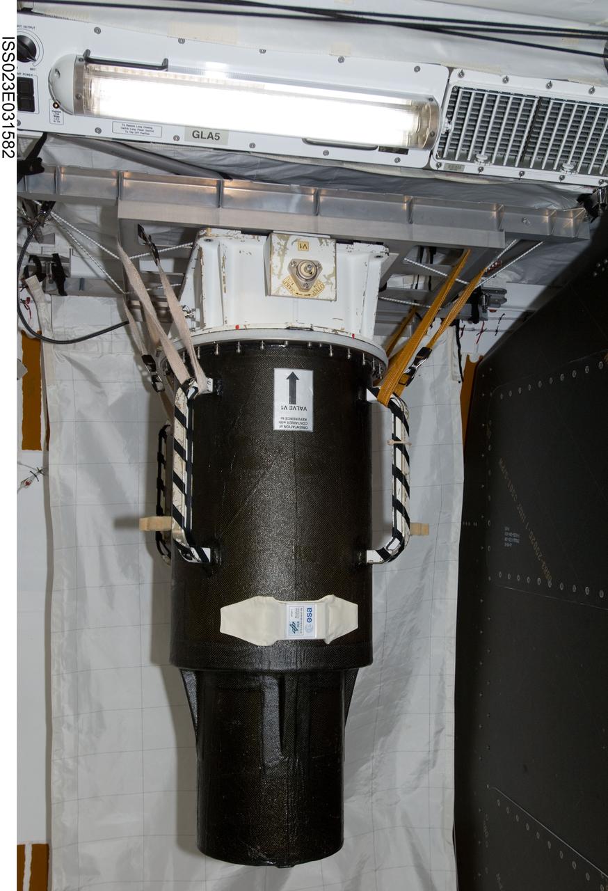 iss023e031582 (5/4/2010) --- A view of the anthropomorphic Phantom for the Matroshka-2 Kibo experiment installed at location JPM1F2 in the Kibo Japanese Experiment Pressurized Module (JPM) aboard the International Space Station (ISS).