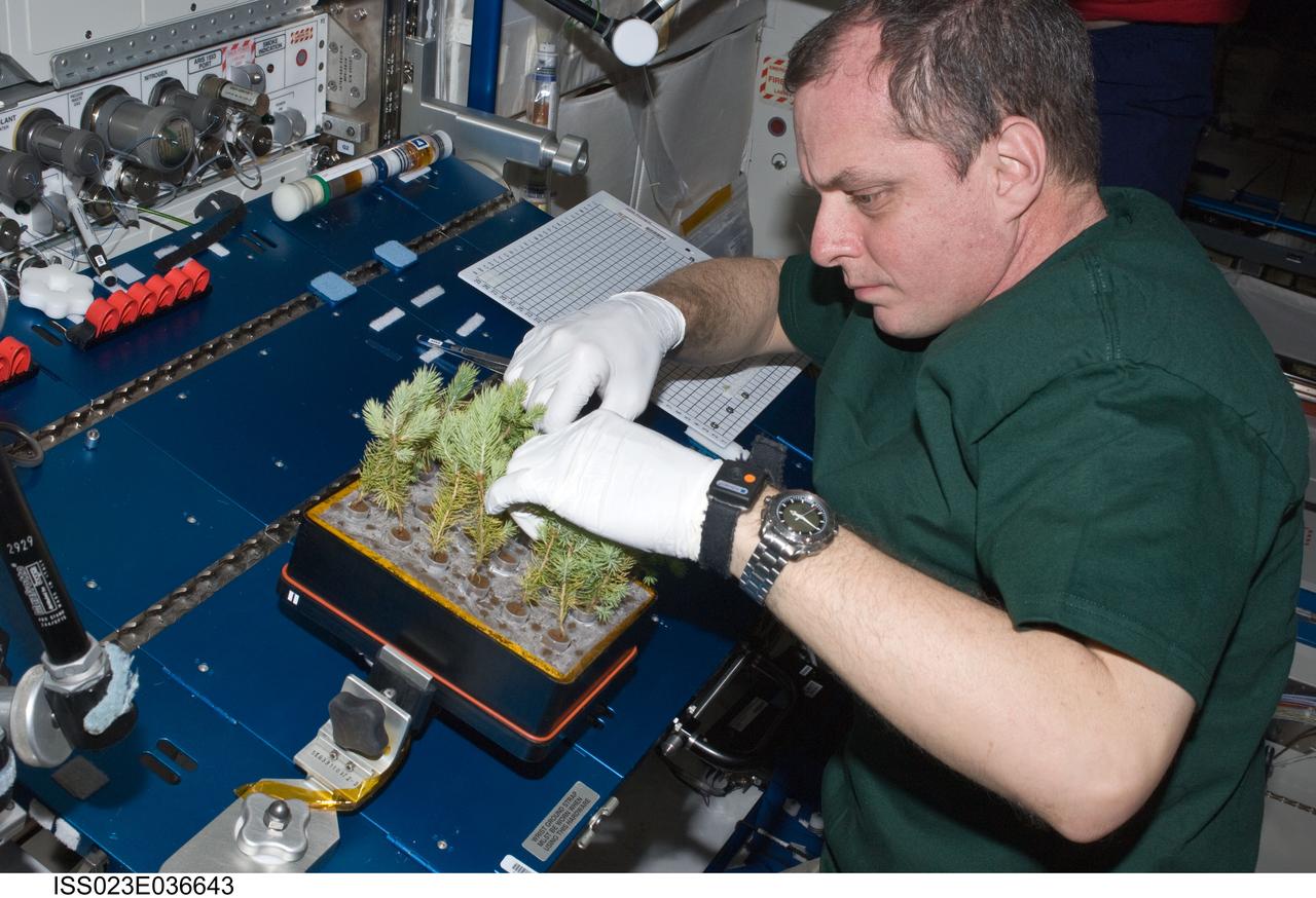 ISS023-E-036643 (10 May 2010) --- NASA astronaut T.J. Creamer, Expedition 23 flight engineer, services the Advanced Plant Experiments on Orbit-Cambium (APEX-Cambium) experiment in the Destiny laboratory of the International Space Station.