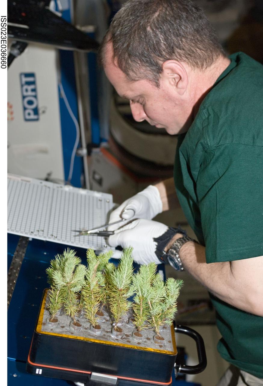 ISS023-E-036660 (10 May 2010) --- NASA astronaut T.J. Creamer, Expedition 23 flight engineer, services the Advanced Plant Experiments on Orbit-Cambium (APEX-Cambium) experiment in the Destiny laboratory of the International Space Station.