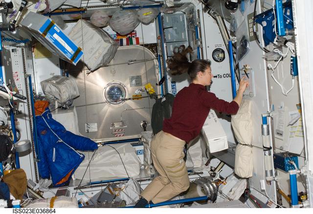 NASA image: Dyson in Node 2