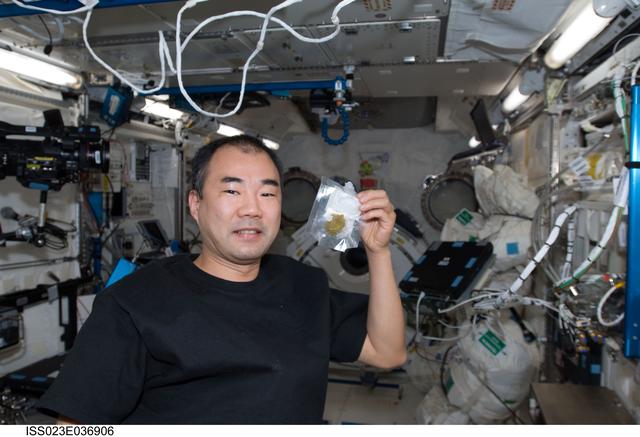 NASA image: Noguchi in Kibo