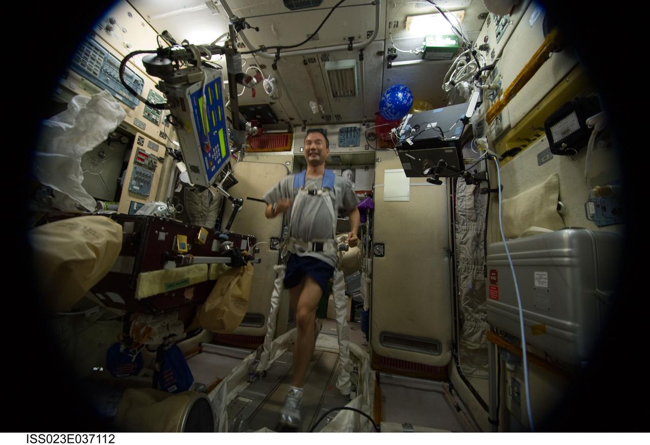 ISS023-E-037112 (9 May 2010) --- Japan Aerospace Exploration Agency (JAXA) astronaut Soichi Noguchi, Expedition 23 flight engineer, equipped with a bungee harness, exercises on the Treadmill Vibration Isolation System (TVIS) in the Zvezda Service Module of the International Space Station. A fish-eye lens attached to an electronic still camera was used to capture this image.