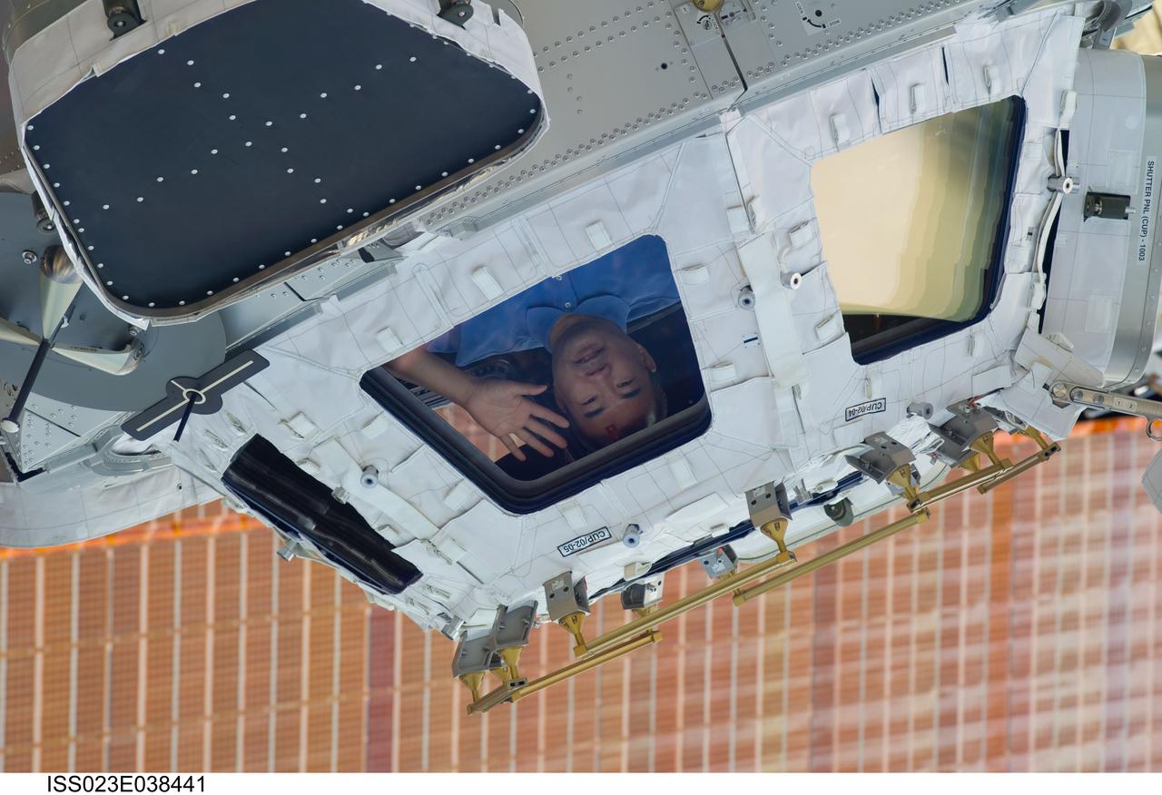 ISS023-E-038441 (10 May 2010) --- Japan Aerospace Exploration Agency (JAXA) astronaut Soichi Noguchi, Expedition 23 flight engineer, is pictured in a window of the Cupola of the International Space Station. A portion of the station?s solar array panels are visible in the background.