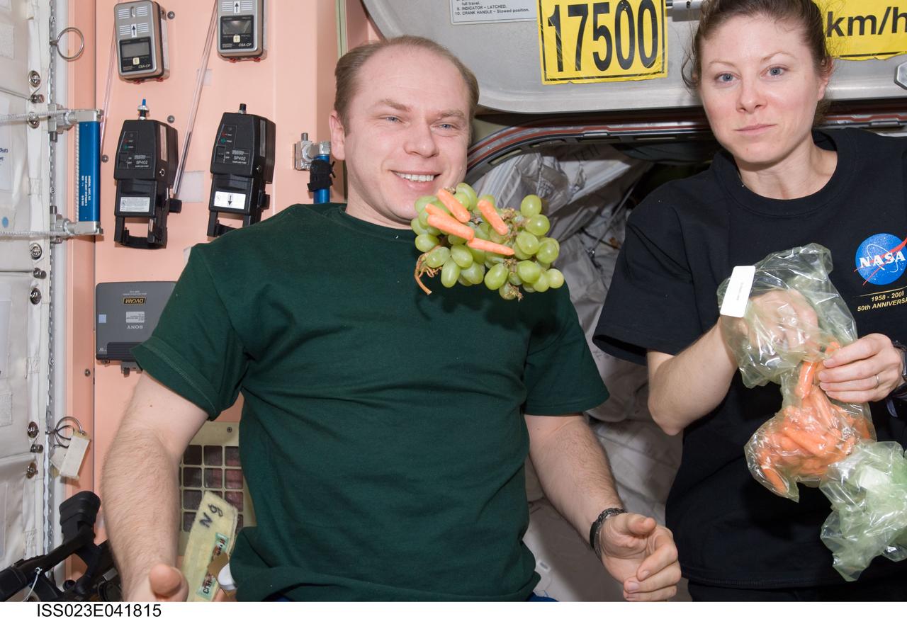 ISS023-E-041815 (16 May 2010) --- Russian cosmonaut Oleg Kotov, Expedition 23 commander; and NASA astronaut Tracy Caldwell Dyson, flight engineer, are pictured near fresh fruit and vegetables floating freely in the Unity node of the International Space Station while space shuttle Atlantis (STS-132) remains docked with the station.