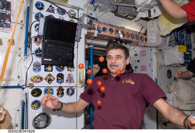 NASA image: Kornienko with Tomatoes in Node 1