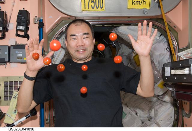 NASA image: Noguchi with Tomatoes in Node 1