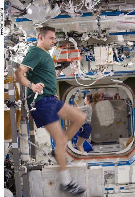 NASA image: Kornienko Exercises on CEVIS in US Lab