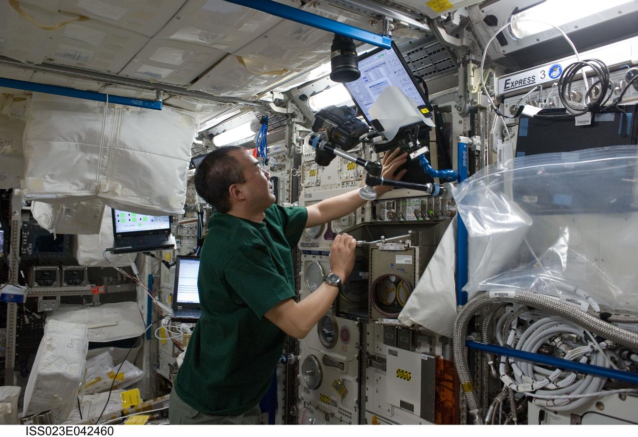 ISS023-E-042460 (10 May 2010) --- Japan Aerospace Exploration Agency (JAXA) astronaut Soichi Noguchi, Expedition 23 flight engineer, uses a computer in the Columbus laboratory of the International Space Station.