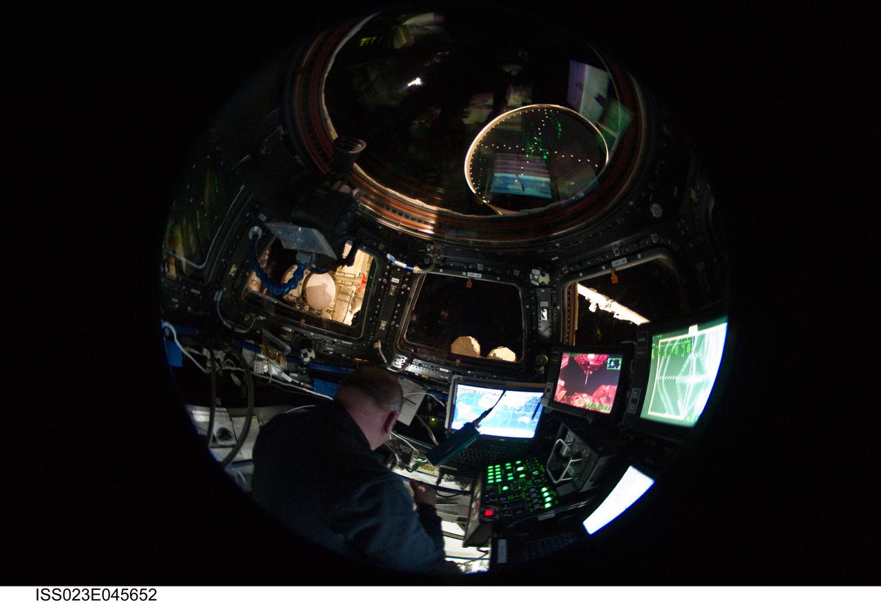 ISS023-E-045652 (18 May 2010) --- In this ?fish-eye? lens view, NASA astronaut Garrett Reisman, STS-132 mission specialist, is surrounded by windows and computers in the International Space Station's Cupola during his mission's flight day five activities. Photo credit: NASA or National Aeronautics and Space Administration