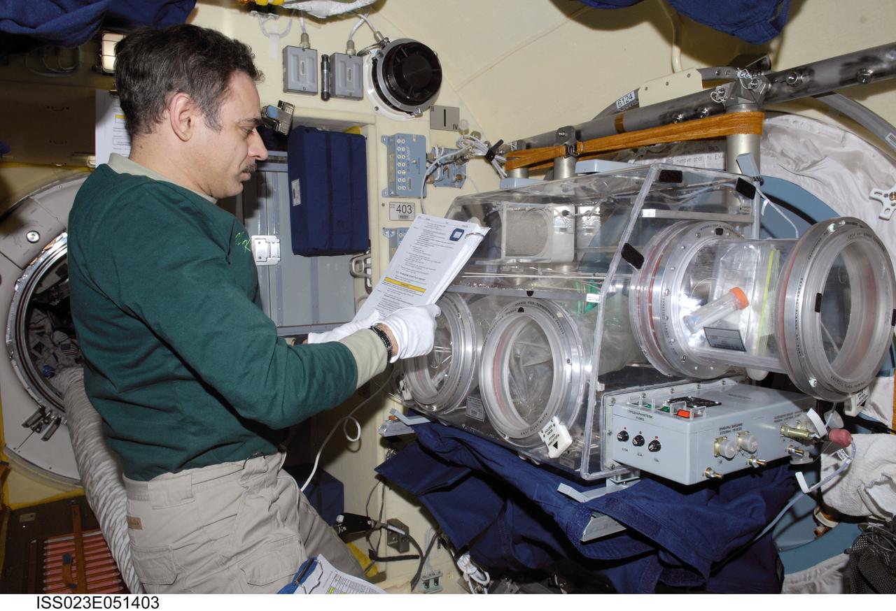 ISS023-E-051403 (26 May 2010) --- Russian cosmonaut Mikhail Kornienko, Expedition 23 flight engineer, performs the BTKh-16 KASKAD (Cascade) experiment in the Russian Glavboks-S (Glovebox) located in the Poisk Mini-Research Module 2 (MRM2) of the International Space Station.