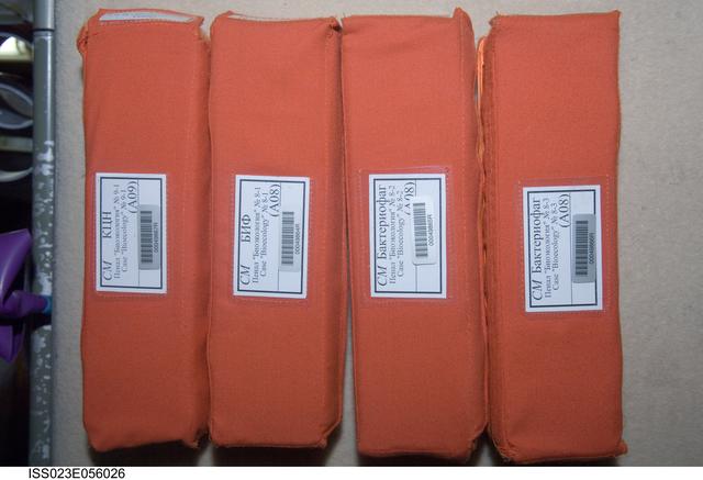 NASA image: Bioecology Cases 9-1, 8-1, 8-2, and 8-3