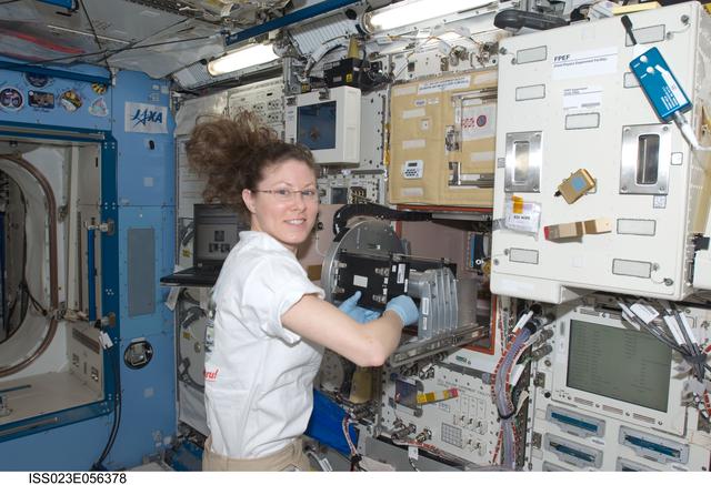 NASA image: Dyson conducts Ferulate Experiment Operations in Kibo