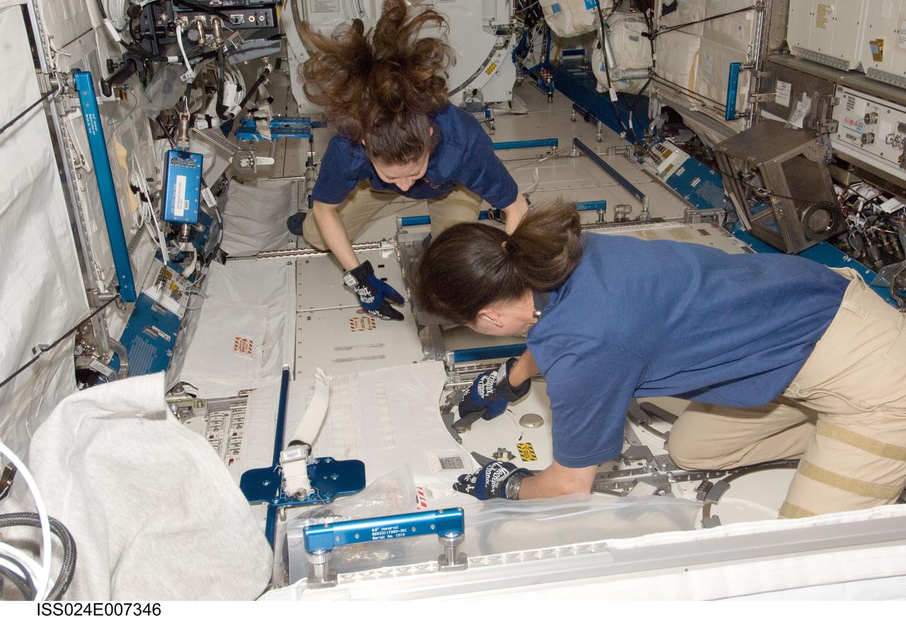 ISS024-E-007346 (2 July 2010) --- NASA astronauts Tracy Caldwell Dyson (background) and Shannon Walker, both Expedition 24 flight engineers, prepare to insert biological samples in a dewar tray in the Minus Eighty Laboratory Freezer for ISS (MELFI-1) in the Kibo laboratory of the International Space Station.