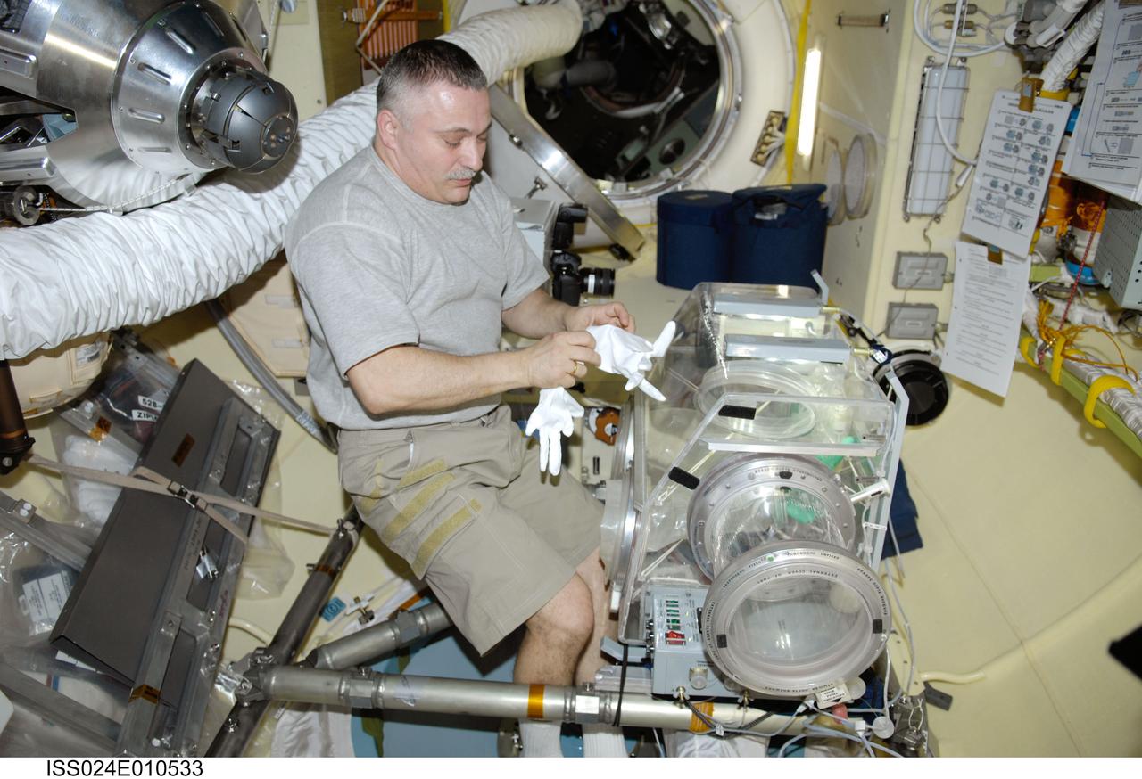 ISS024-E-010533 (3 Aug. 2010) --- Russian cosmonaut Fyodor Yurchikhin, Expedition 24 flight engineer, prepares the Russian Glavboks-S (Glovebox) for the bioscience experiment ASEPTIC (BTKh-39) in the Poisk Mini-Research Module 2 (MRM2) of the International Space Station.