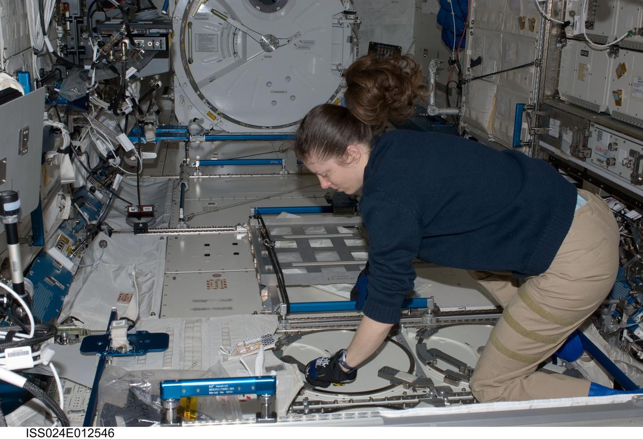 ISS024-E-012546 (26 Aug. 2010) --- NASA astronaut Tracy Caldwell Dyson, Expedition 24 flight engineer, prepares to insert biological samples in a dewar tray in the Minus Eighty Laboratory Freezer for ISS (MELFI-1) in the Kibo laboratory of the International Space Station.