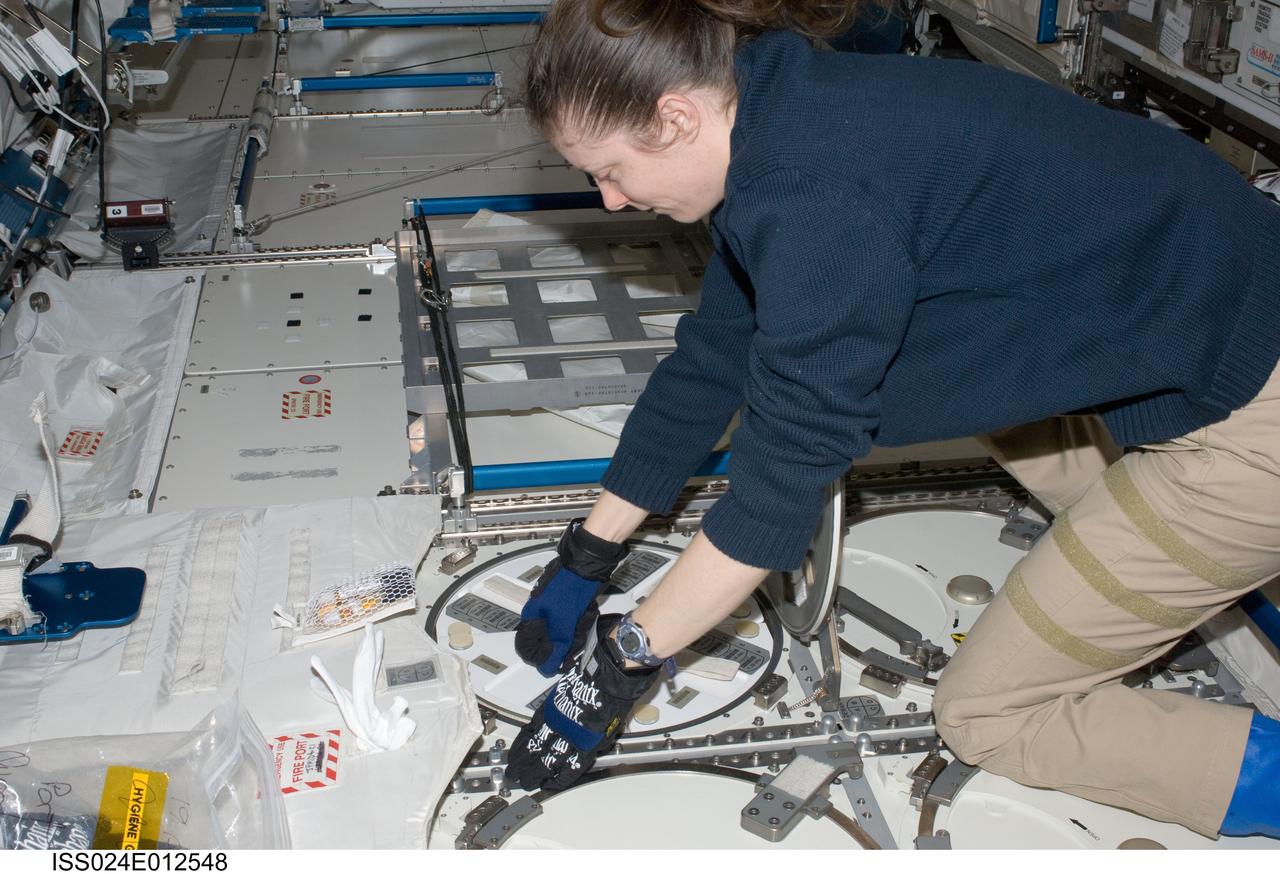 ISS024-E-012548 (26 Aug. 2010) --- NASA astronaut Tracy Caldwell Dyson, Expedition 24 flight engineer, prepares to insert biological samples in a dewar tray in the Minus Eighty Laboratory Freezer for ISS (MELFI-1) in the Kibo laboratory of the International Space Station.