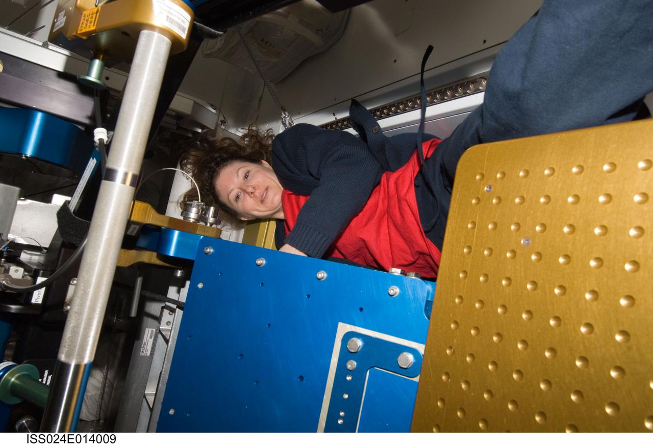 ISS024-E-014009 (9 Sept. 2010) ---  NASA astronaut Tracy Caldwell Dyson, Expedition 24 flight engineer, works with the advanced Resistive Exercise Device (aRED) in the Tranquility node of the International Space Station.