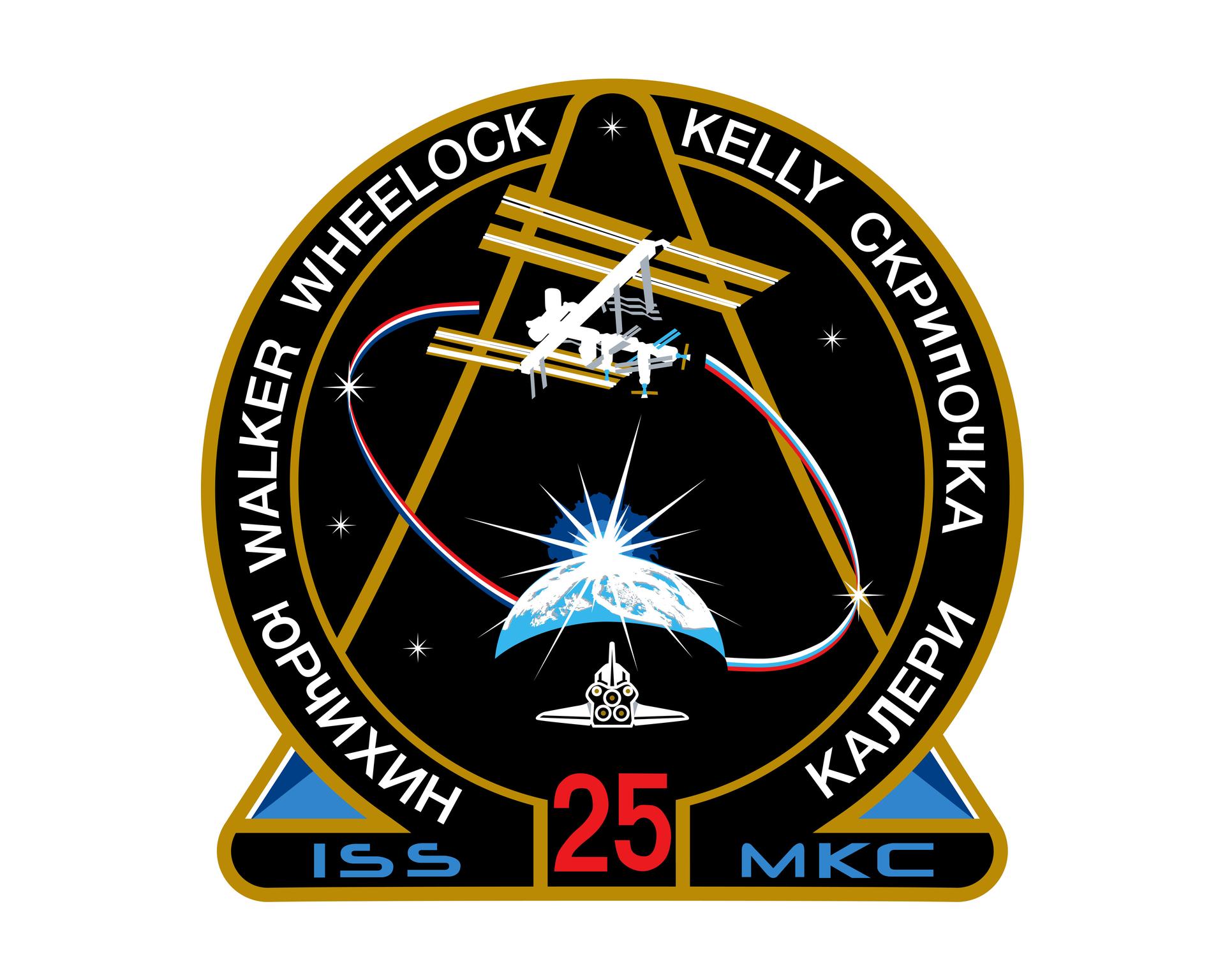 Expedition 25 Crew Insignia