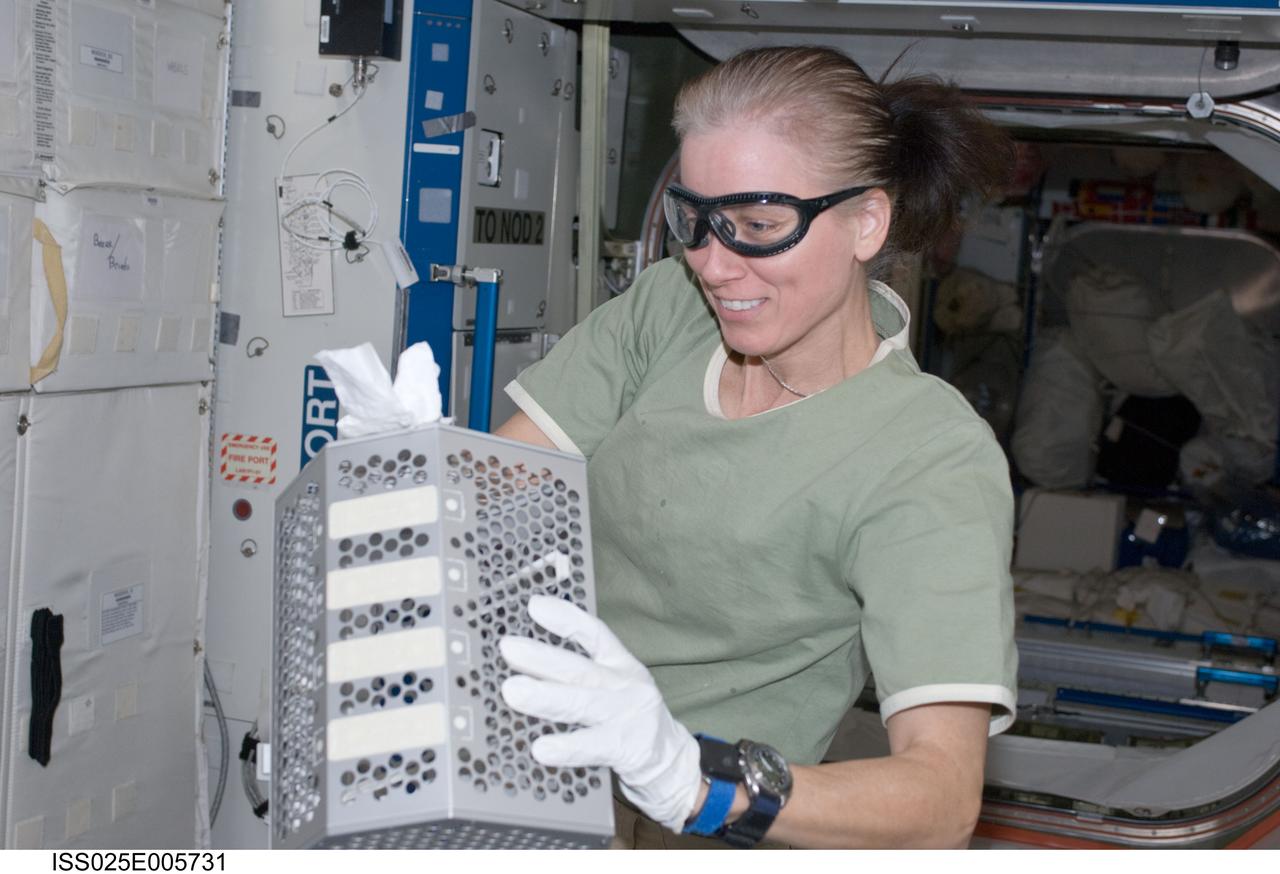 ISS025-E-005731 (1 Oct. 2010) --- NASA astronaut Shannon Walker, Expedition 25 flight engineer, services the Minus Eighty Laboratory Freezer for ISS-2 (MELFI-2) in the Destiny laboratory of the International Space Station.