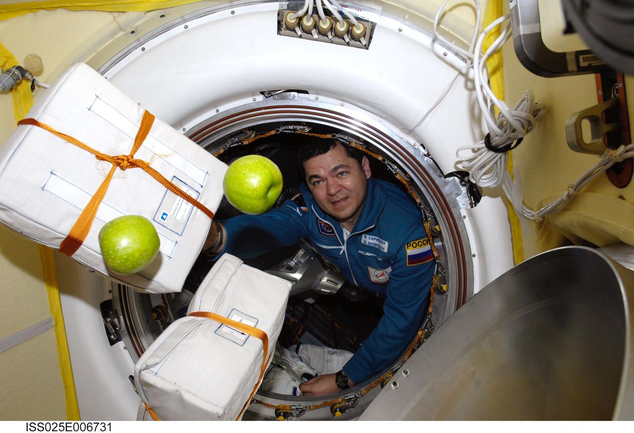 ISS025-E-006731 (9 Oct. 2010) --- Russian cosmonaut  Oleg Skripochka, flight engineer, arrives aboard the International Space Station, bearing fresh fruit and a small sampling of other supplies brought up by the "second half" of the Expedition 25 crew. Along with Russian cosmonaut Alexander Kaleri, Soyuz commander and Expedition 25 flight engineer, and NASA astronaut Scott Kelly, flight engineer, the cosmonaut  joins a third cosmonaut and two other astronauts already onboard to complete the crew of six. Docking of the Soyuz TMA- 01M and the ISS occurred at 8:01 p.m. (EDT) on Oct. 9, 2010.