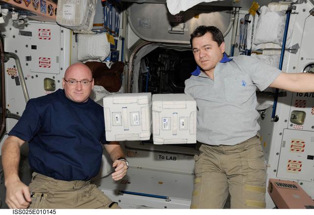 ISS025-E-010145 (31 Oct. 2010) --- NASA astronaut Scott Kelly (left) and Russian cosmonaut Oleg Skripochka, both Expedition 25 flight engineers, are pictured during transfer activities of the European Space Agency?s SPHINX (SPaceflight of Huvec: an Integrated eXperiment) Biobox kit in the Unity node of the International Space Station.