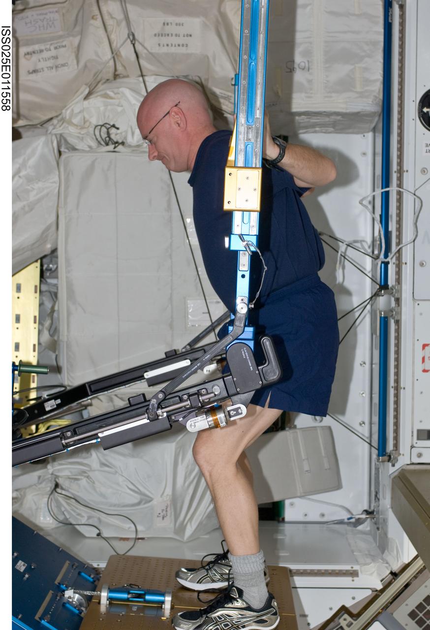 ISS025-E-011558 (3 Nov. 2010) --- NASA astronaut Scott Kelly, Expedition 25 flight engineer, exercises using the advanced Resistive Exercise Device (aRED) in the Tranquility node of the International Space Station.