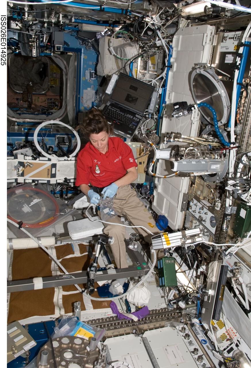 ISS026-E-014925 (4 Jan. 2011) --- NASA astronaut Catherine (Cady) Coleman, Expedition 26 flight engineer, removes the Low Gradient Furnace (LGF) and installs the Solidification and Quench Furnace (SQF) in the Material Science Laboratory (MSL) in the Destiny laboratory of the International Space Station.