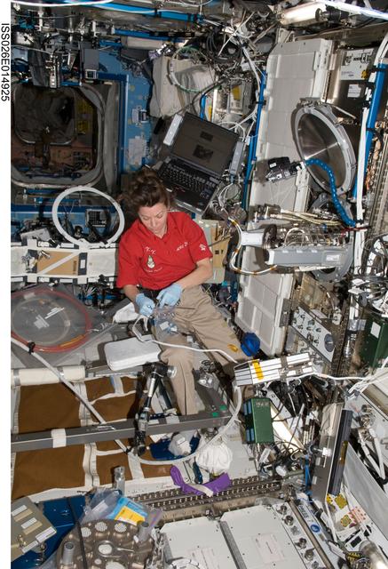 NASA image: Coleman installs new furnace in the MSL - U.S. Laboratory during Expedition 26