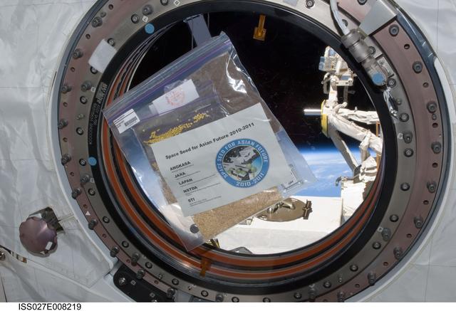NASA image: Asian Seed Package in Kibo