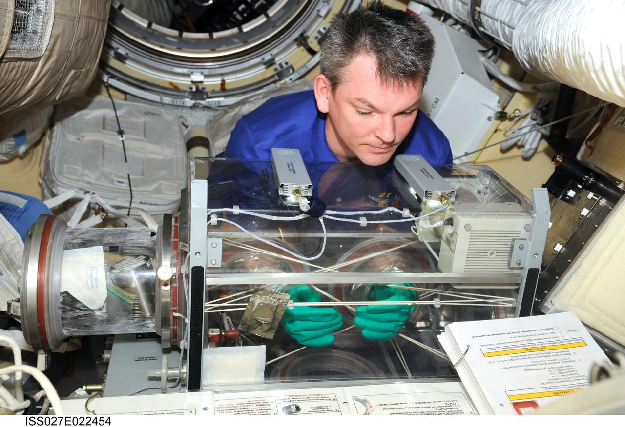 ISS027-E-022454 (5 May 2011) --- Russian cosmonaut Alexander Samokutyaev, Expedition 27 flight engineer, uses a glovebox to service the Russian Bioemulsion science payload in the Poisk Mini-Research Module 2 (MRM2) of the International Space Station. The Bioemulsion experiment is attempting to develop faster technologies for obtaining microorganism biomass and biologically active substance biomass for creating highly efficient environmentally pure bacteria, enzymes, and medicinal/pharmaceutical preparations.