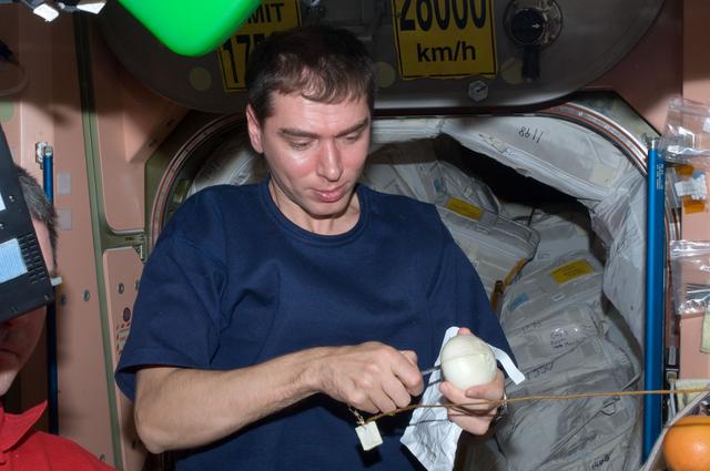 NASA image: View of Expedition 28 FE Volkov cutting an Onion in the Node 1