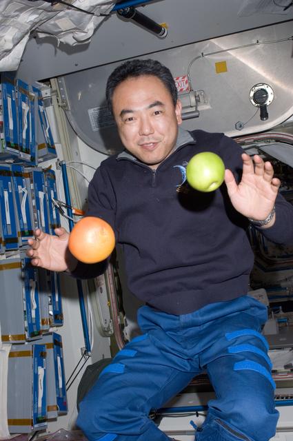 NASA image: View of FE Furukawa posing for a photo with Fruit