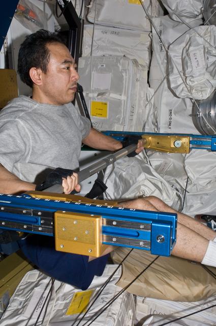 NASA image: FE Furukawa exercising with the ARED