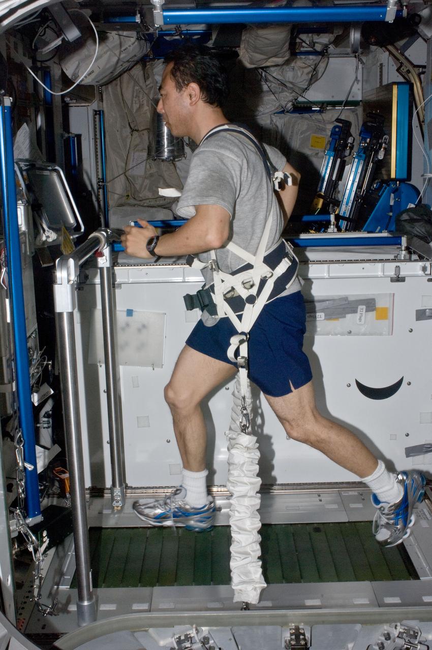 ISS028-E-019529 (30 July 2011) --- Japan Aerospace Exploration Agency astronaut Satoshi Furukawa, Expedition 28 flight engineer, equipped with a bungee harness, exercises on the Combined Operational Load Bearing External Resistance Treadmill (COLBERT) in the Tranquility node of the International Space Station.