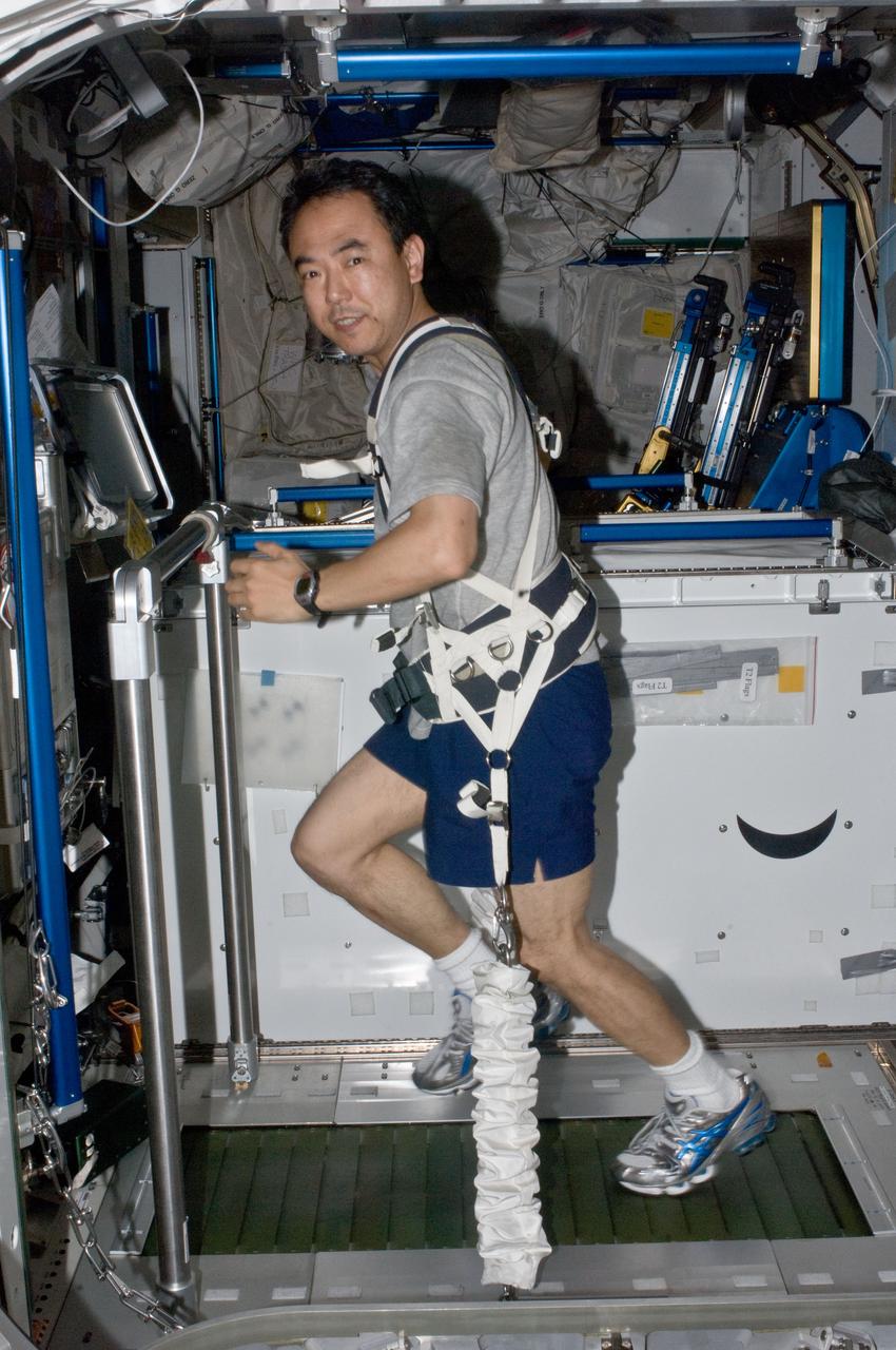 ISS028-E-019530 (30 July 2011) --- Japan Aerospace Exploration Agency astronaut Satoshi Furukawa, Expedition 28 flight engineer, equipped with a bungee harness, exercises on the Combined Operational Load Bearing External Resistance Treadmill (COLBERT) in the Tranquility node of the International Space Station.