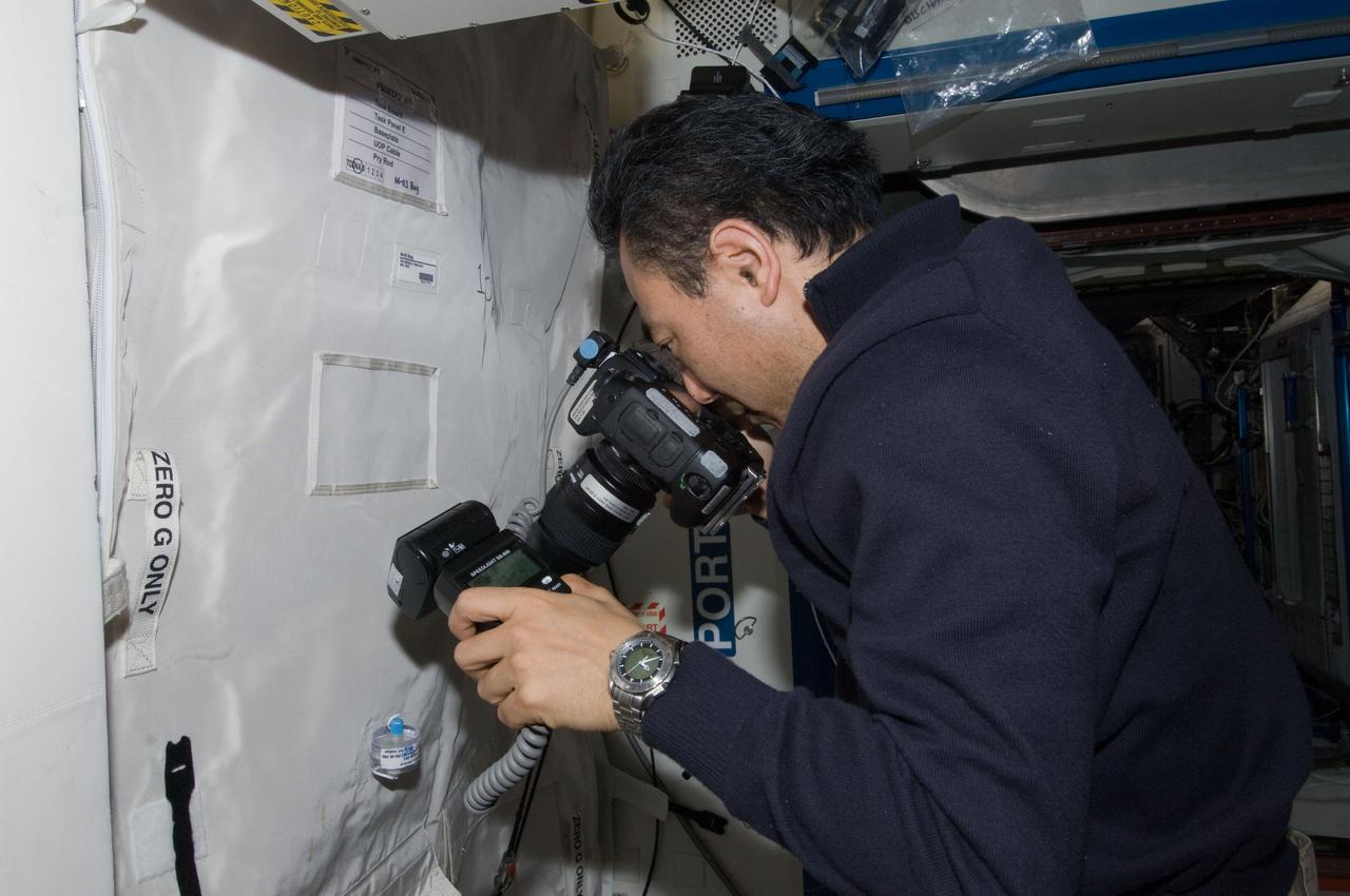 ISS028-E-019589 (29 July 2011) --- Japan Aerospace Exploration Agency astronaut Satoshi Furukawa, Expedition 28 flight engineer, uses a still camera to photograph a microbial capture device in the Tranquility node of the International Space Station.