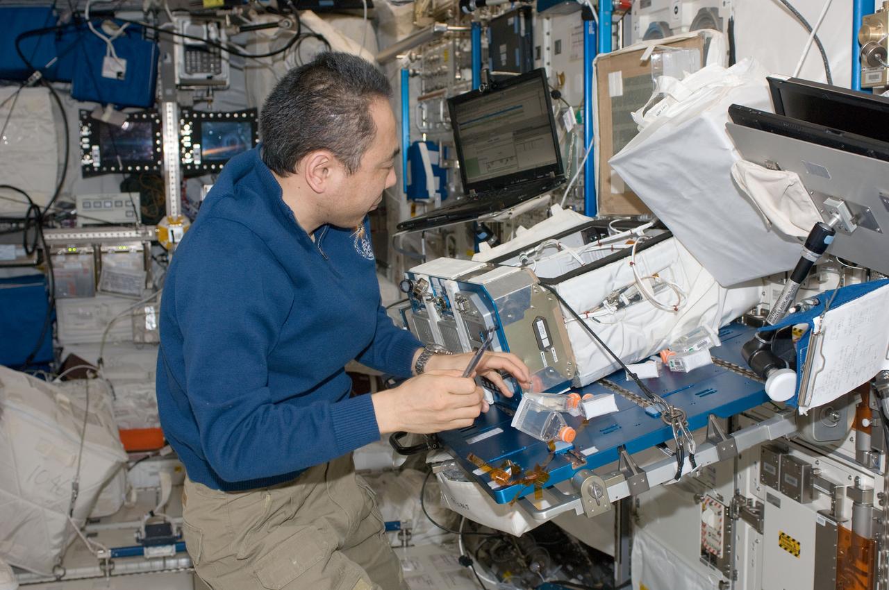 ISS029-E-028512 (18 Oct. 2011) --- Japan Aerospace Exploration Agency astronaut Satoshi Furukawa, Expedition 29 flight engineer, works on the Commercial Generic Bioprocessing Apparatus 5 / Science Insert-05 (CGBA-5/CSI-5) experiment in the Columbus laboratory of the International Space Station.