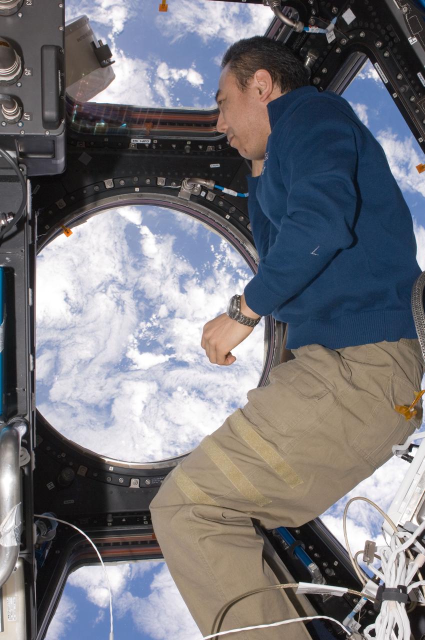 ISS029-E-033688 (30 Oct. 2011) --- Japan Aerospace Exploration Agency astronaut Satoshi Furukawa, Expedition 29 flight engineer, looks through a window in the Cupola of the International Space Station Space Station.