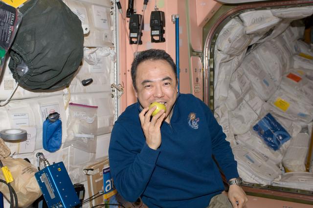 NASA image: Furukawa with apple